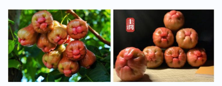 QQ图片20231024094528.png