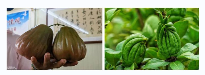 QQ图片20231024094612.png